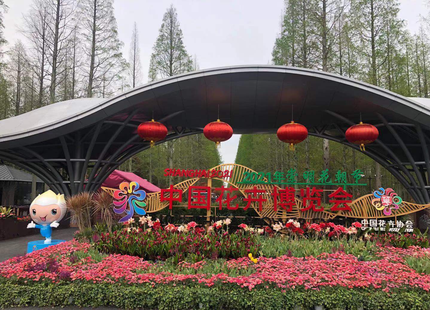 花博会开幕后,对于崇明而言,交通通行无疑是一大考验.