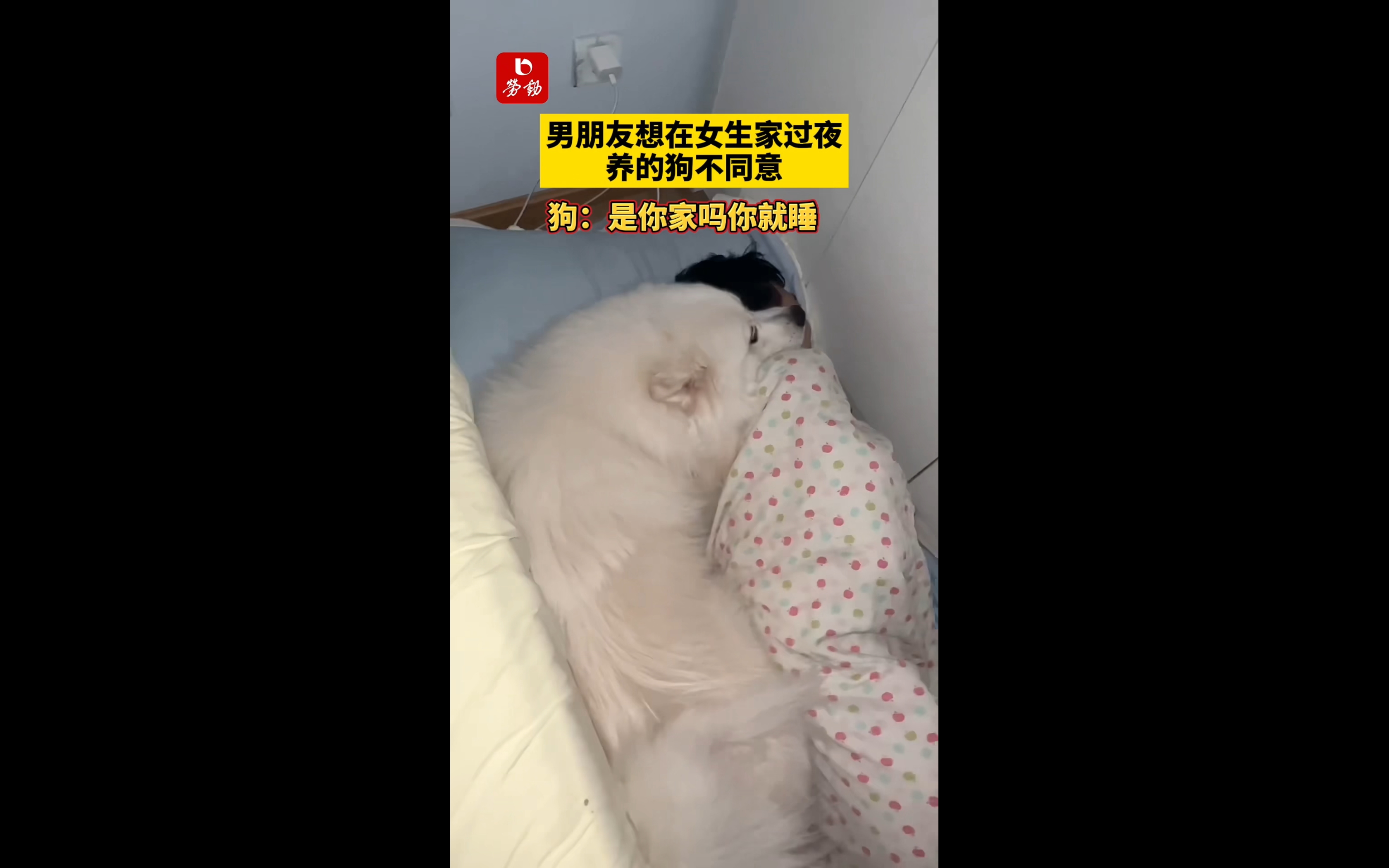 男生说女生你真狗是什么意思_男生说女生你真狗是什么意思啊 男生说女生你真狗是什么意思_男生说女生你真狗是什么意思啊（男生说你真狗怎么回复） 搜狗词汇